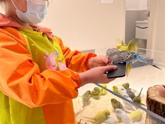 -怪兽屋·羊驼·猫咖·狗咖(俊华广场店)