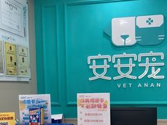 -安安宠医宠物医院·异宠·犬猫内科(岳阳分院)