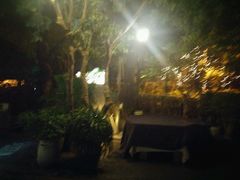 -T館·花园艺术餐厅