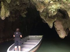 -怀托摩萤火虫洞