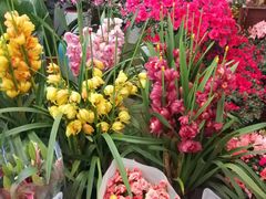 -金陵花卉交易市场