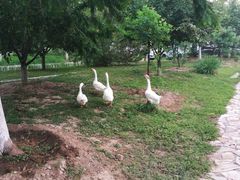 -中家鑫园温泉酒店鑫悦汤泉