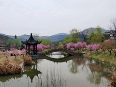 -石塘人家