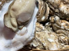 -蚝堡海鲜·威海菜·海肠捞饭·烧烤·亚洲吃蚝公司(幸福门店)