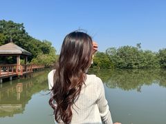 -大湾区中央湿地公园