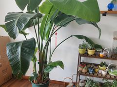 -乐享·爱弥儿国际幼稚园