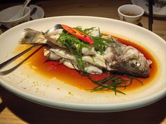 -水墨田塬(印象汇店)