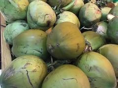 -墨脱石锅椰子鸡•香草鸭•东山羊(大东海店)