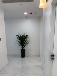 点击看大图 -雍禾植发