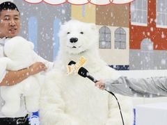 -Mr·Kuma酷么先生雪之乐园