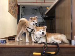 -YCHL Studios健身工作室(市二宫店)
