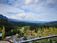 -中国大熊猫保护研究中心雅安碧峰峡基地