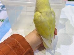-雨林宠物医院 非犬猫异宠专科