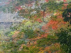 -燕子河大峡谷天坑仙境