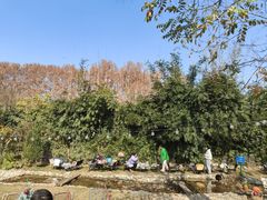 -HERRE·FARM 赫尔露营农场·团建聚会包场