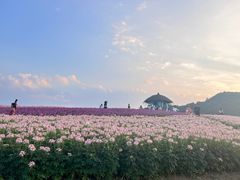 -径山花海