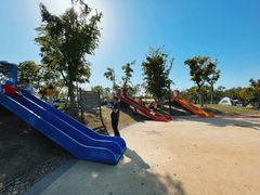 -春花秋色城市公园