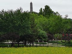 -北坞公园