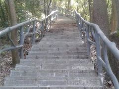 -祁门牯牛降观音堂风景区