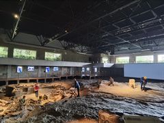 -自贡恐龙博物馆