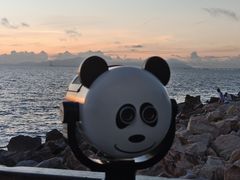 -野狸岛
