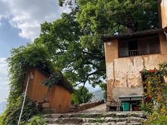 -杨家堂村