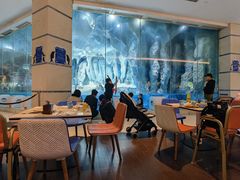 大堂-帝企鹅自助餐厅•儿童岛•真企鹅(长隆企鹅酒店)