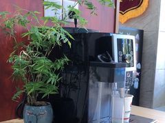 -东日国际动物医院·CT·心脏专科(桃源分院)