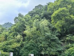 -黔灵山公园