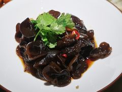 爽口木耳-绿茶餐厅(昌平悦荟店)