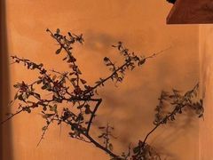 -富桂厨房
