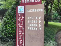 -王借岗森林公园