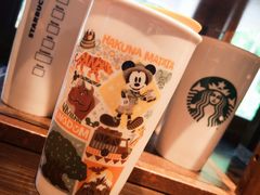 -奥兰多迪士尼动物王国乐园