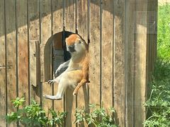 -合肥野生动物园