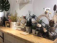 -白日梦奶茶