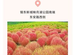 -映月湖中央公园