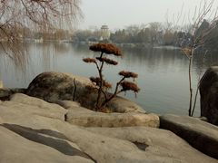 -中国翰园碑林