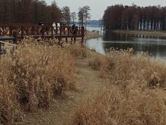 -四明湖