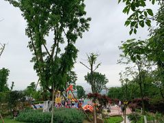 -铁山坪森林公园