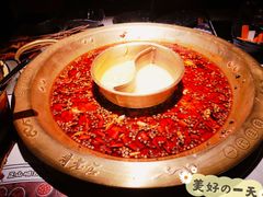 -新哥老官·畅吃123·美蛙世界(苏宁广场店)