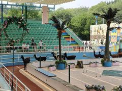 -北京野生动物园