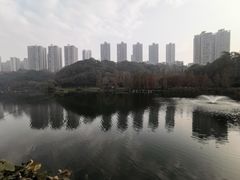 -重庆彩云湖湿地公园