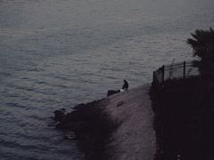 -海堤纪念公园