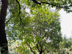 -元大都城垣遗址公园