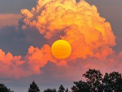 -独一佳老胡湘菜馆(高新店)