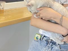 -Heymao猫咖.咖啡厅(东门店)