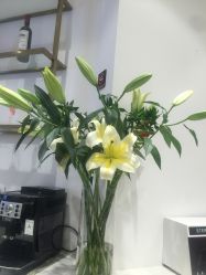 -Kraemer paris·苏豪路易士·嘉玛发廊