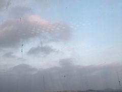 -海中洲渔社