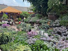 -山菌美食苑(振兴路店)