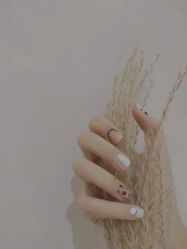 -ALNL清莲爱丽